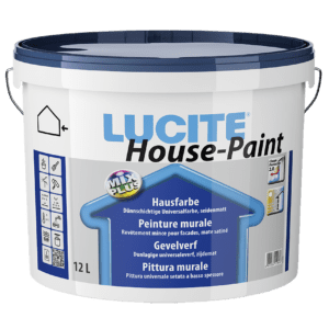 Lucite House Paint